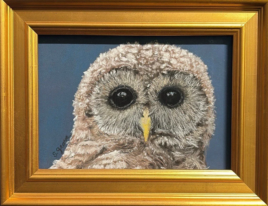 Baby Barred
Pastel 
[SOLD]