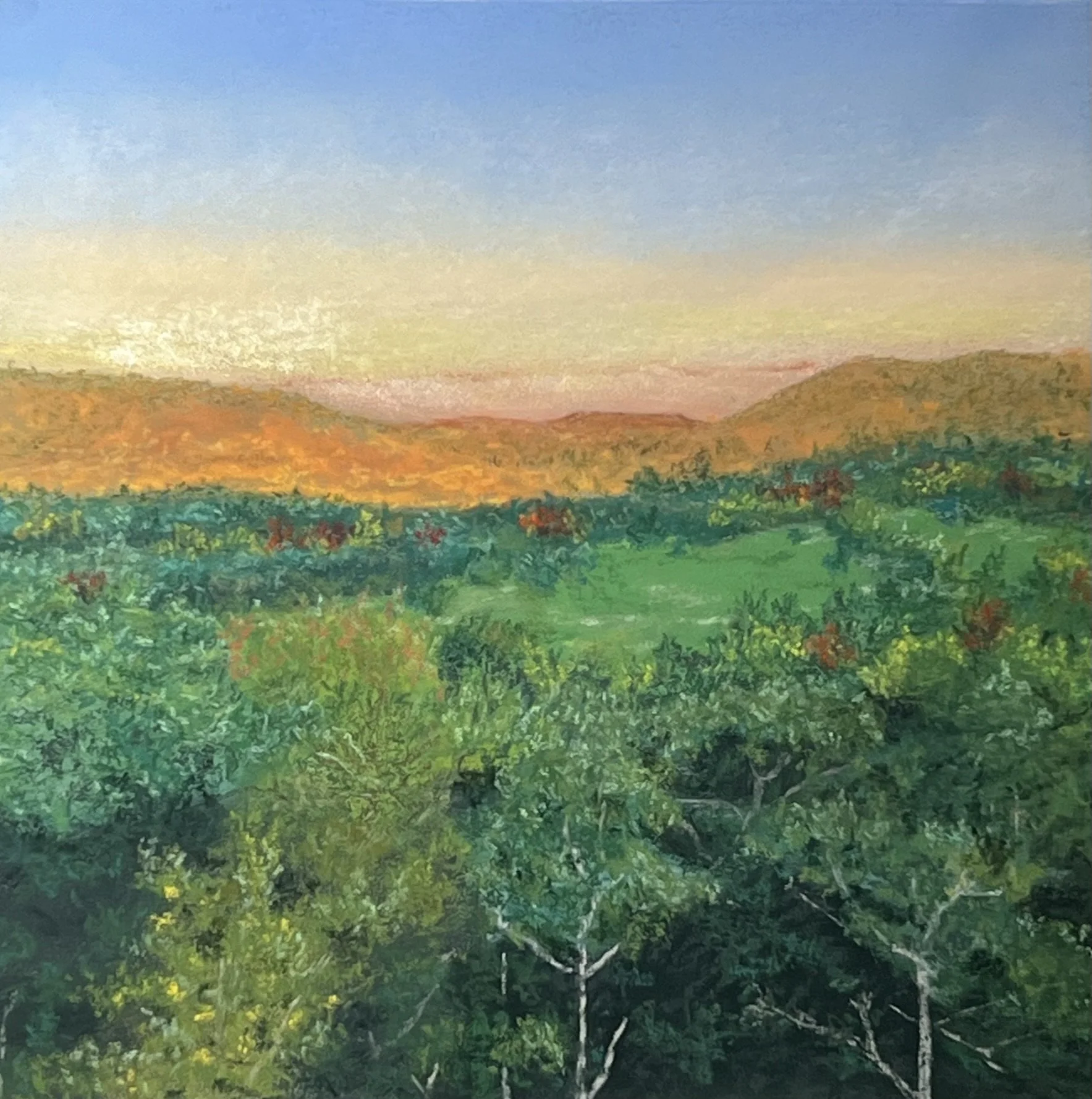 Sunrise Over Kebo
Pastel, 9x9 Framed 
[$325] Available  soon @ 
www.argosygallery.com