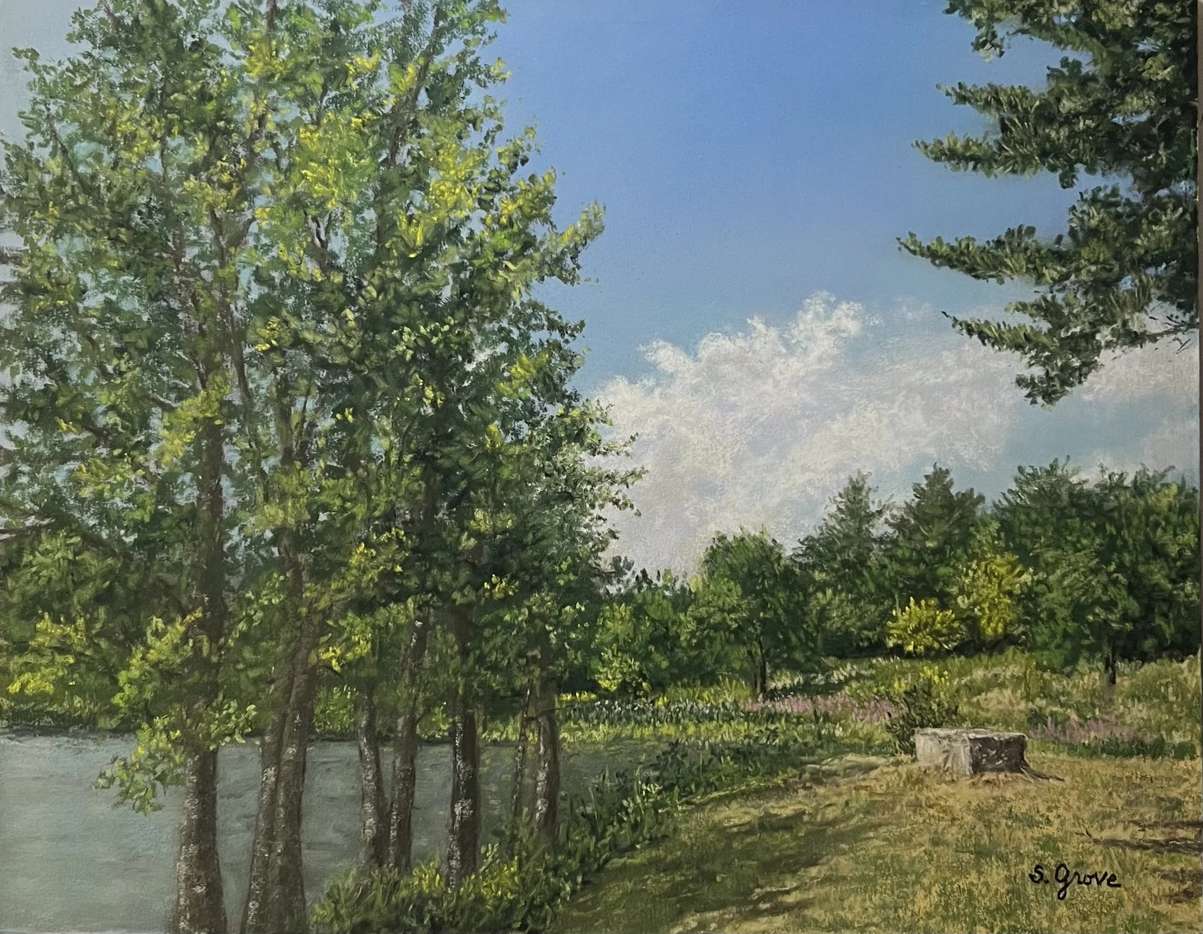 Nature Nurtures Love
Pastel  11x14  SOLD