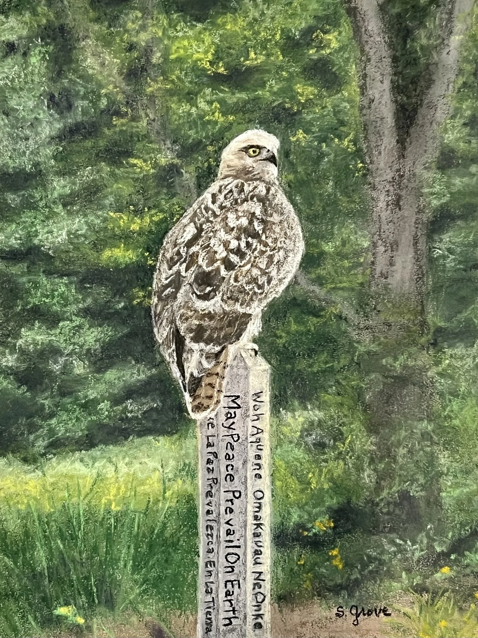 Peace Hawk
Pastel 
[NOT FOR SALE]