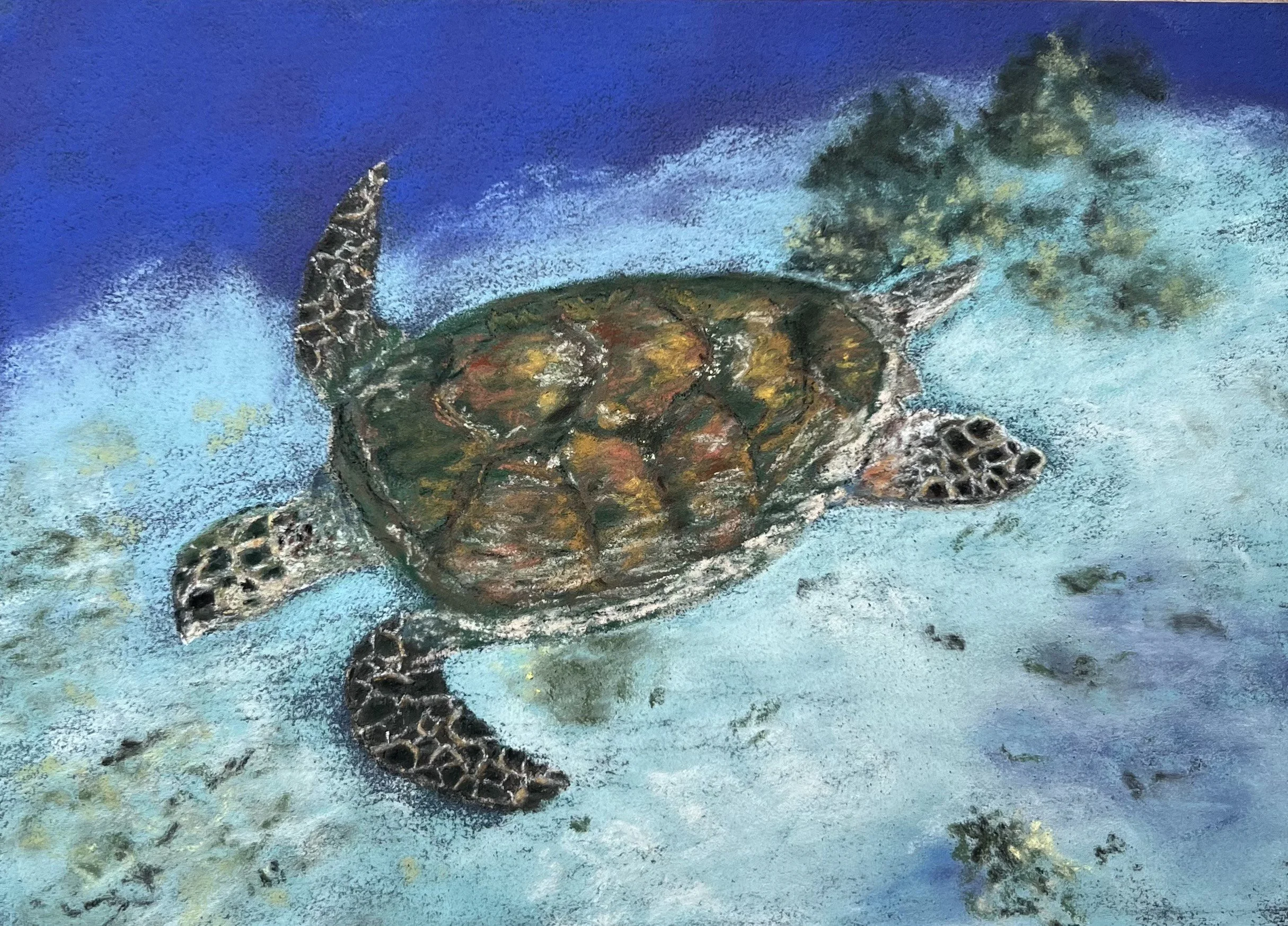 Sea Turtle Strength
Pastel 
[SOLD]