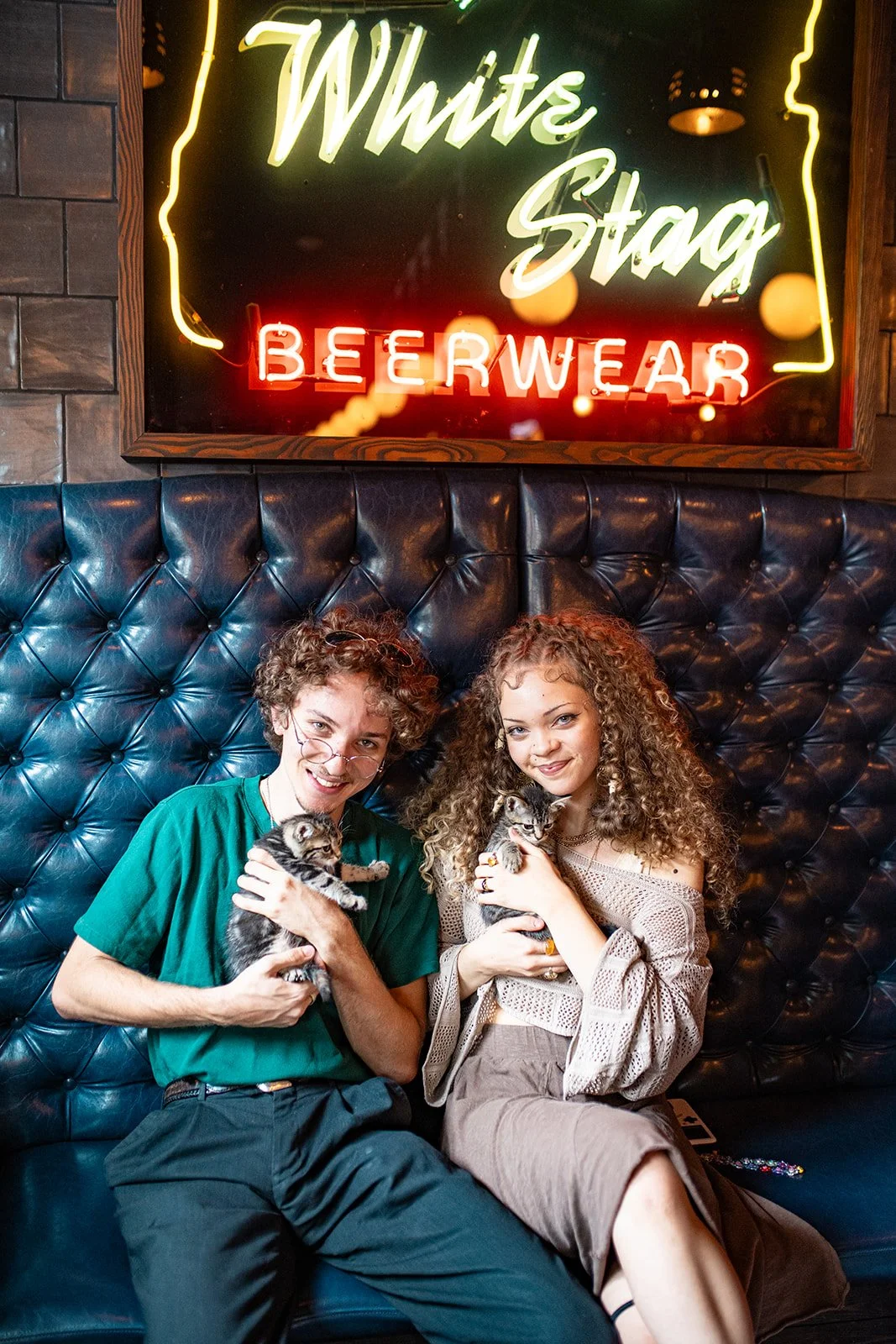 Kittens + Beer