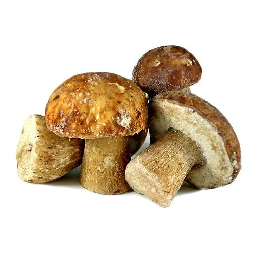 porcini.jpg