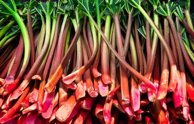 rhubarb.jpg.638x0_q80_crop-smart.jpg