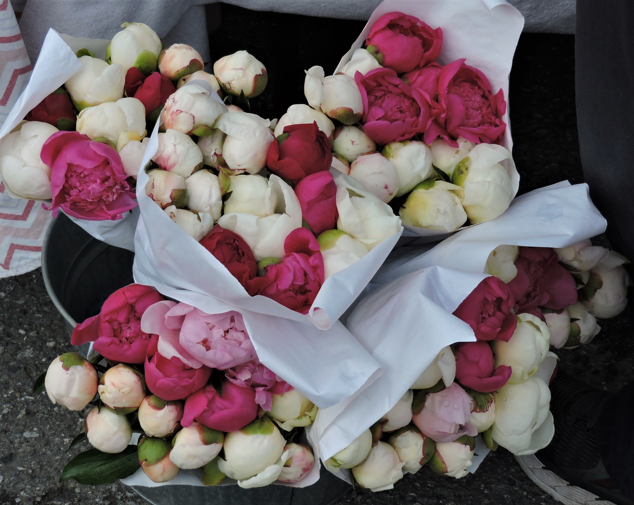 DSCN4458.JPG