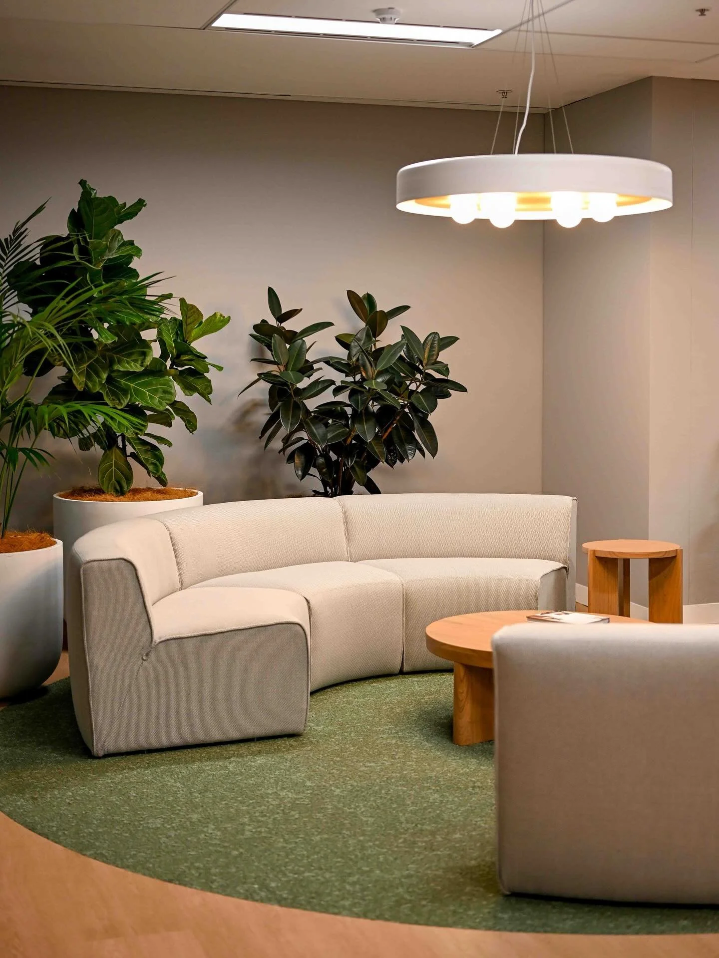 When first impressions really matter! 

A complete transformation of the office waiting area creating a welcoming arrival with organic forms, lush greenery and custom signage.

Project: Berkley Insurance Australia 
Where: Kent Street. Sydney NSW
Phot