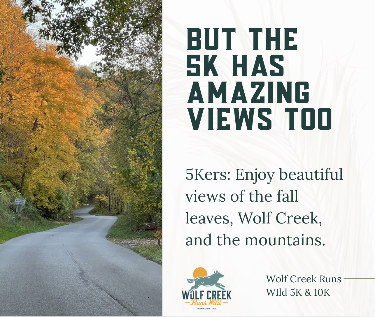 Great fall race to see the changing leaves