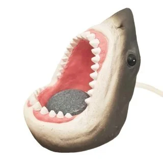 ms616_1.jpg