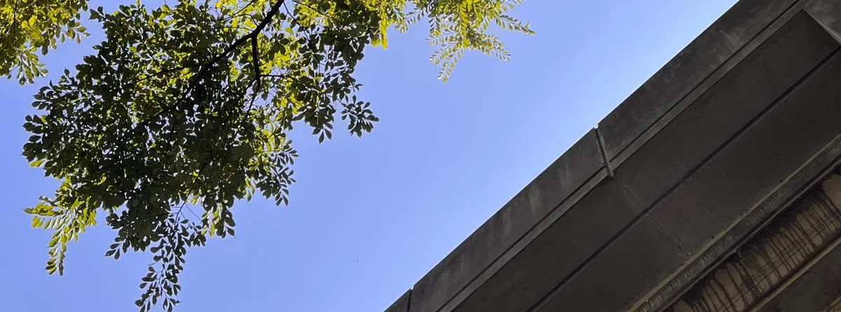 Golden Hours (Daily Planet email #1120)