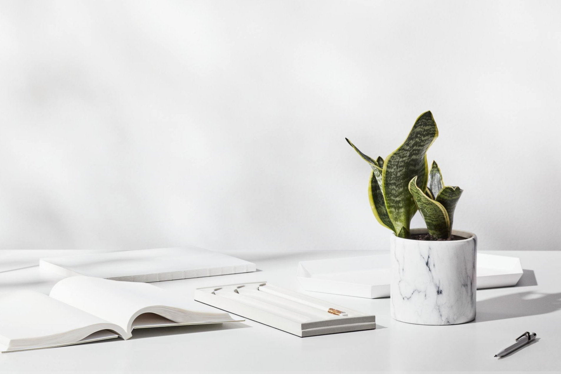 Minimalist workspace with a white table, open notebook, white trays, pen, and a potted snake plant in a white marble pot.