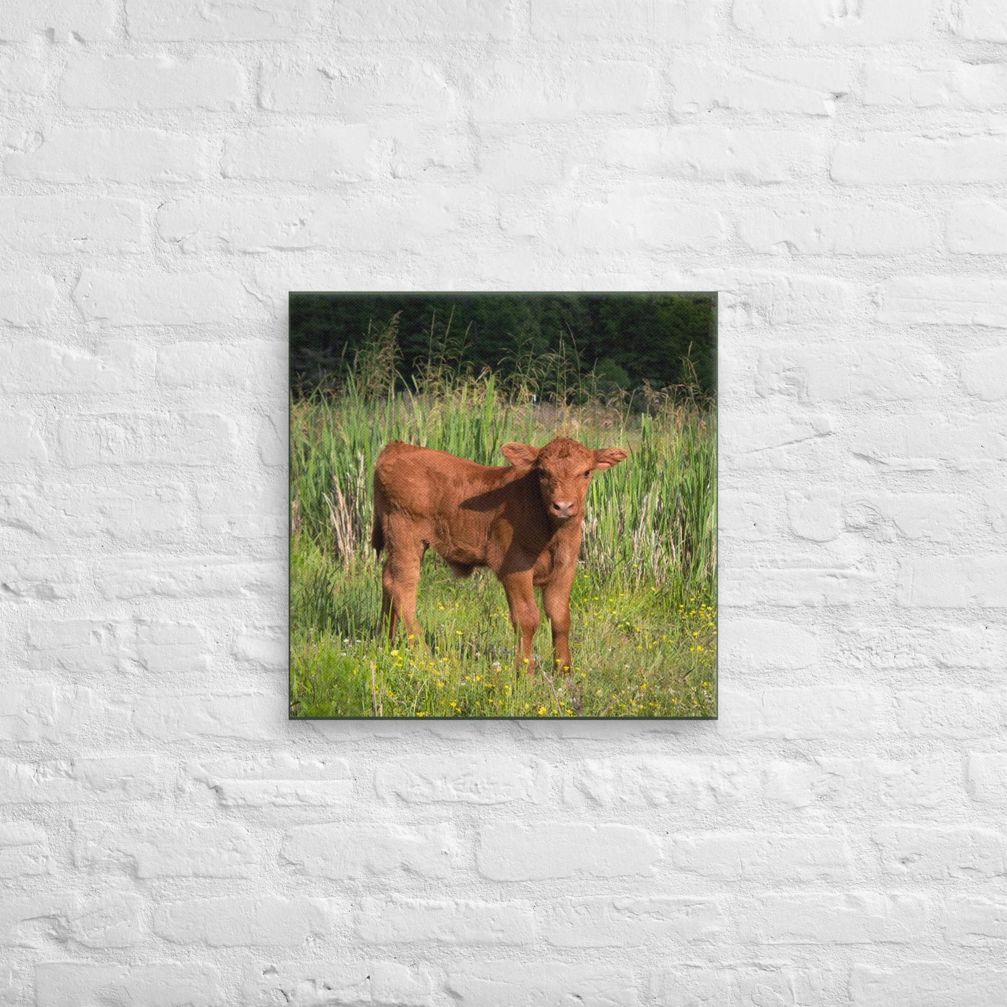 canvas-(in)-20x20-front-683614b351291.jpg