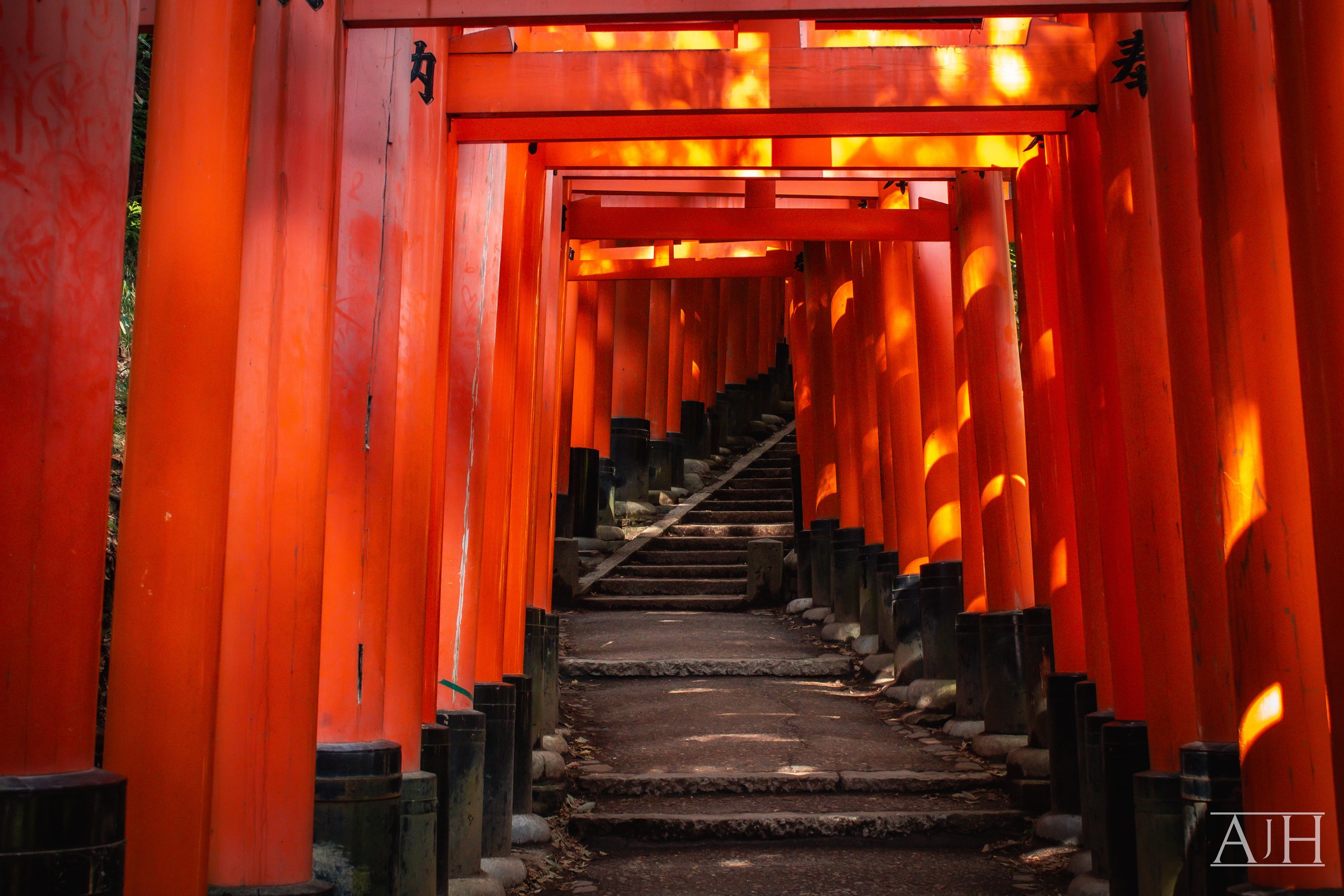 Near to the Gods
