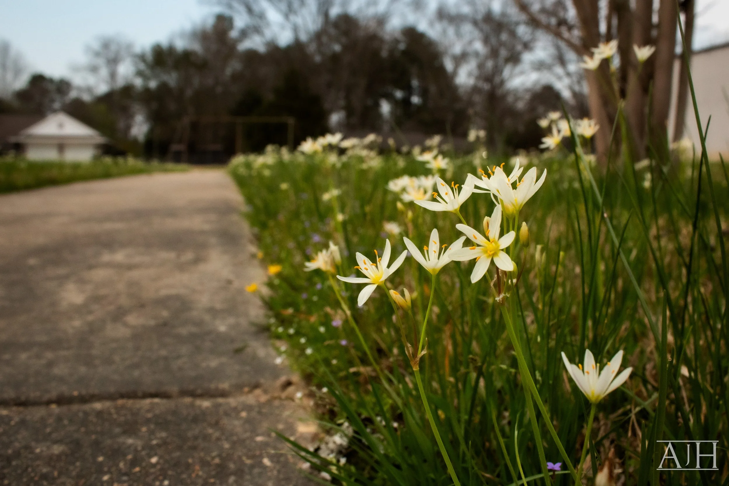 HopkinsPhoto-141.jpg