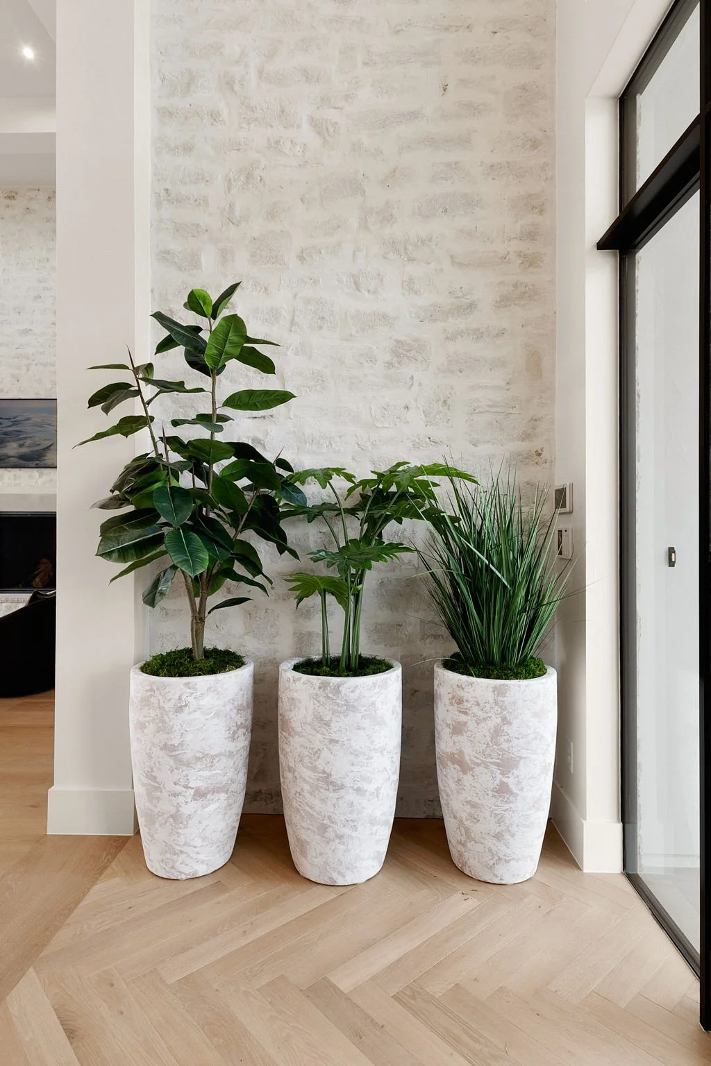 4-web-or-mls-5W6A8593.jpg