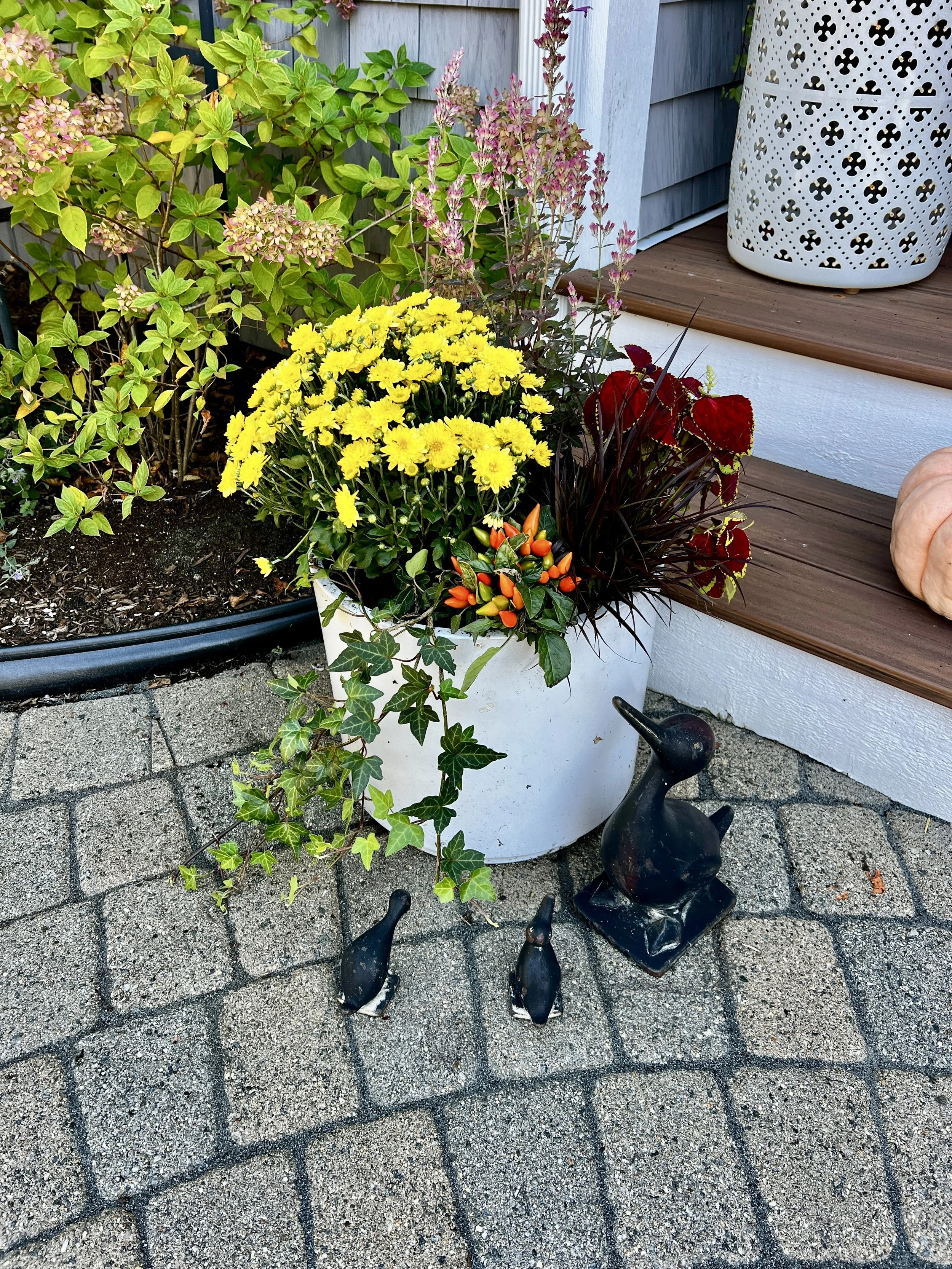 Planter Arrangements