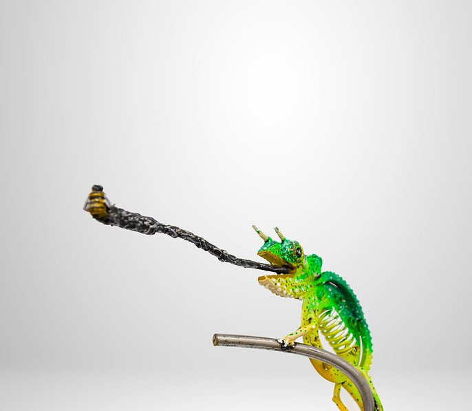 Green chameleon with a visible skeleton shooting its tongue out to catch a bee.