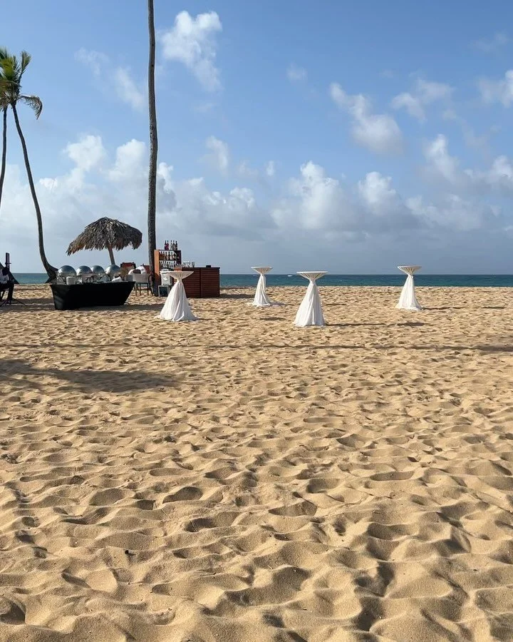 🇩🇴🤍💍 8.23.2024 ✨
&bull;
#ctmua #ctmakeupartist #connecticutmua #connecticutmakeupartist #ctmakeup #bronzemakeup #makeup #igmua #bronzeglam #boldglam #smokeyeyes #ctbridal #ctbridalmakeup #softglam #mua  #makeupartist
#bridalglam #bridalmua #brida