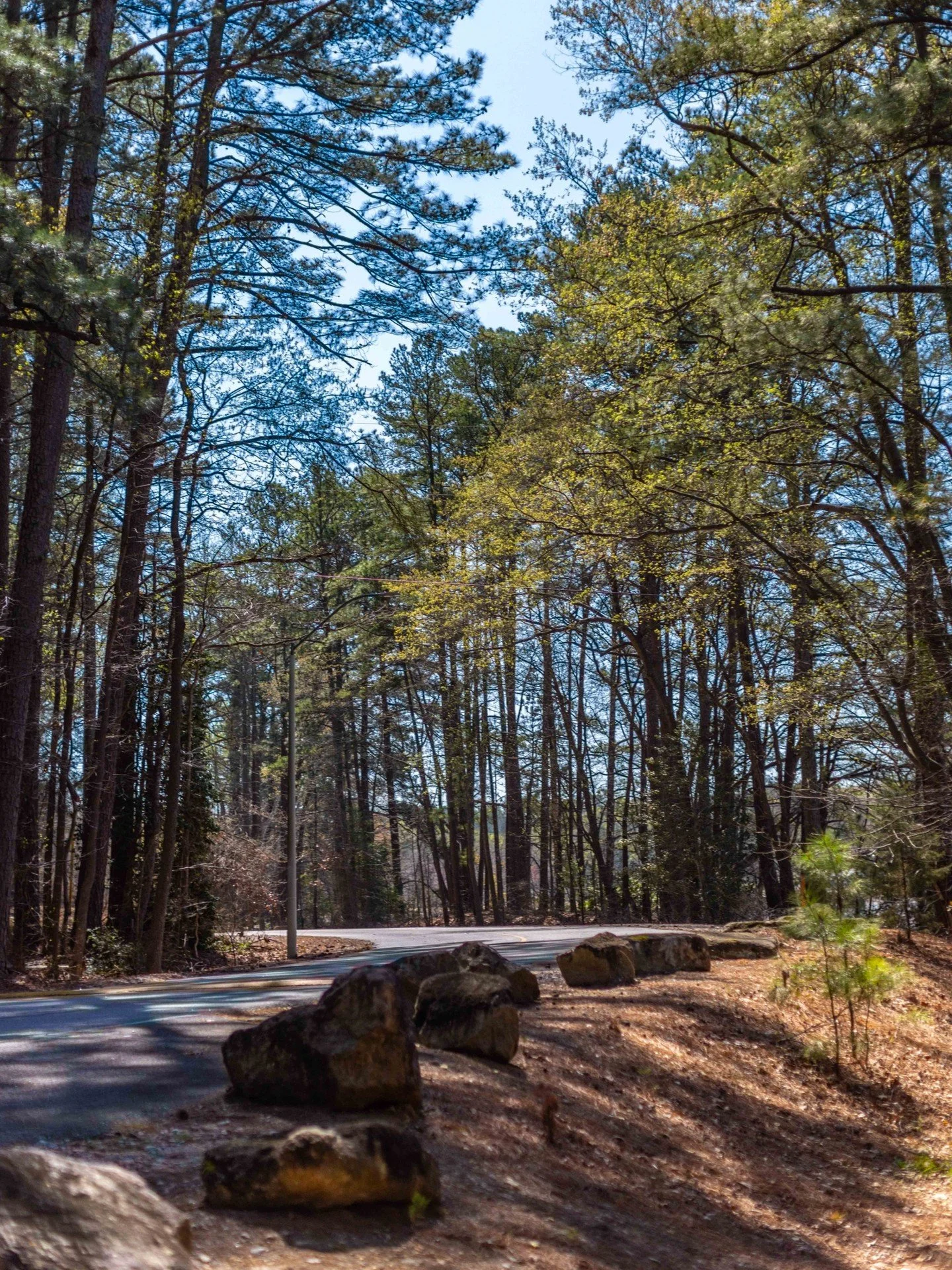 Imagine this view being down the road. 🌊

Lake Wheeler is a short drive from Fuquay-Varina, but for locals, it feels like their own backyard. The 650-acre lake draws people out for kayaking, paddleboarding, volleyball, wildlife watching, and just sl