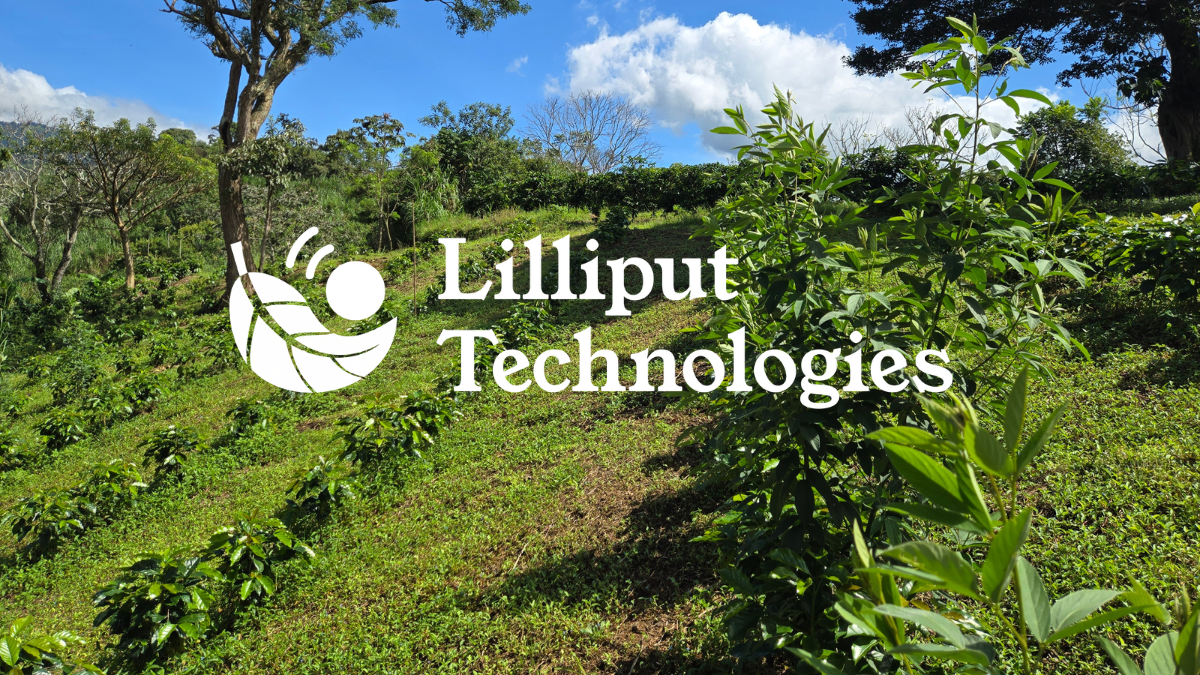 Pilot Launch | Protecting Coffee Seedlings from Heat and Water Stress with Biodegradable Coatings in Costa Rica&nbsp;