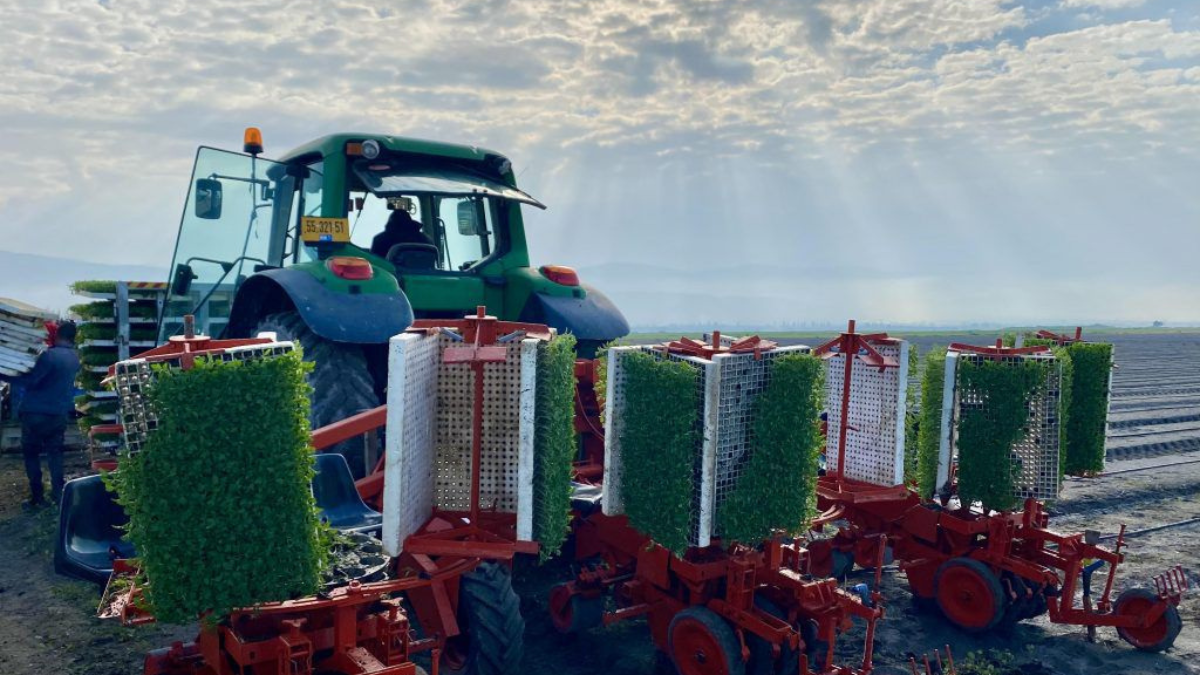 Pilot Launch | Tackling water scarcity through seed enhanced tomato seeds in Mexico&nbsp;