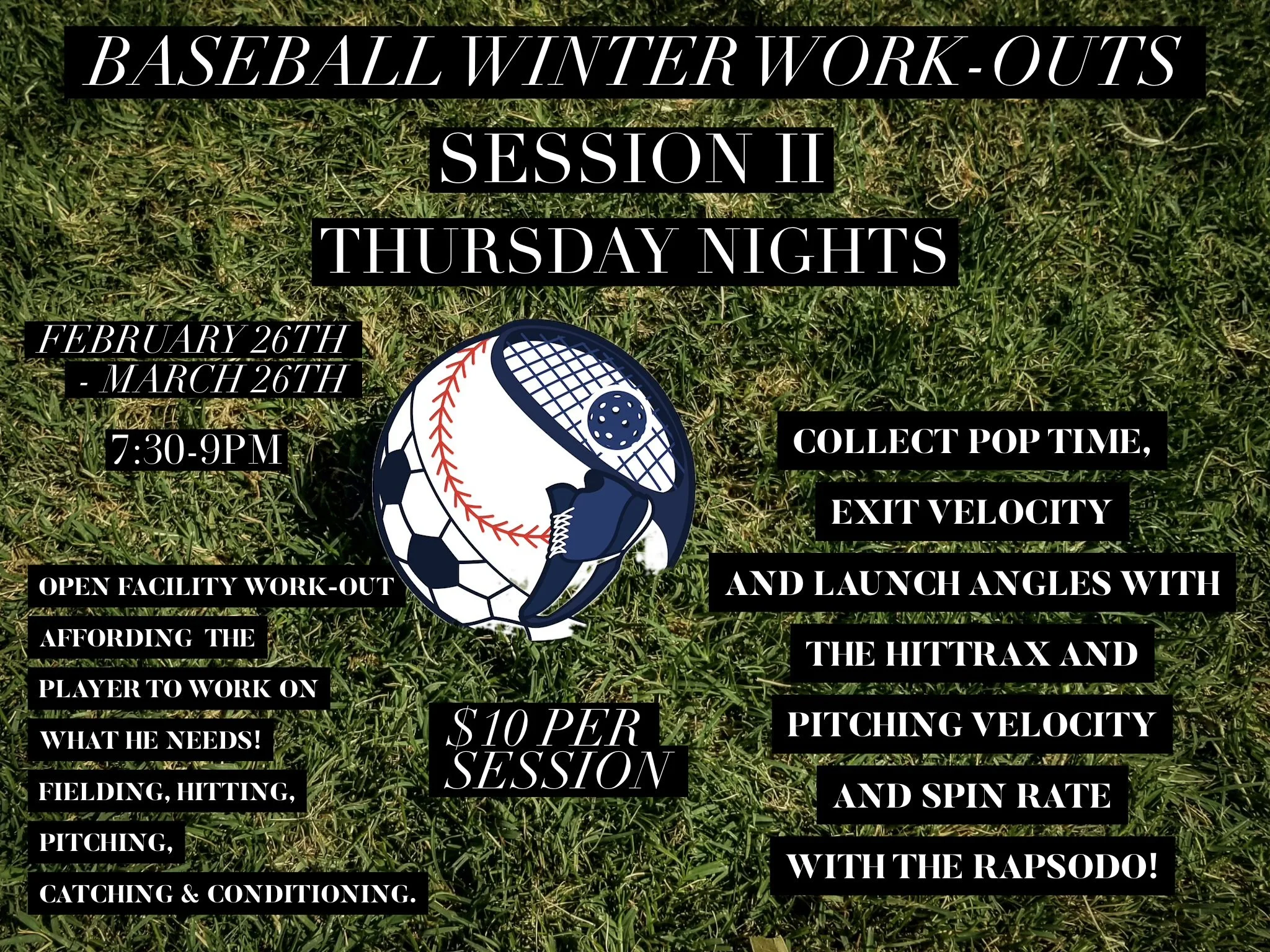 Baseball Winter Work-Outs Session II