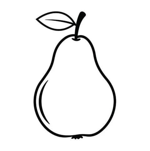 Black and white line drawing of a pear with a leaf attached to its stem.