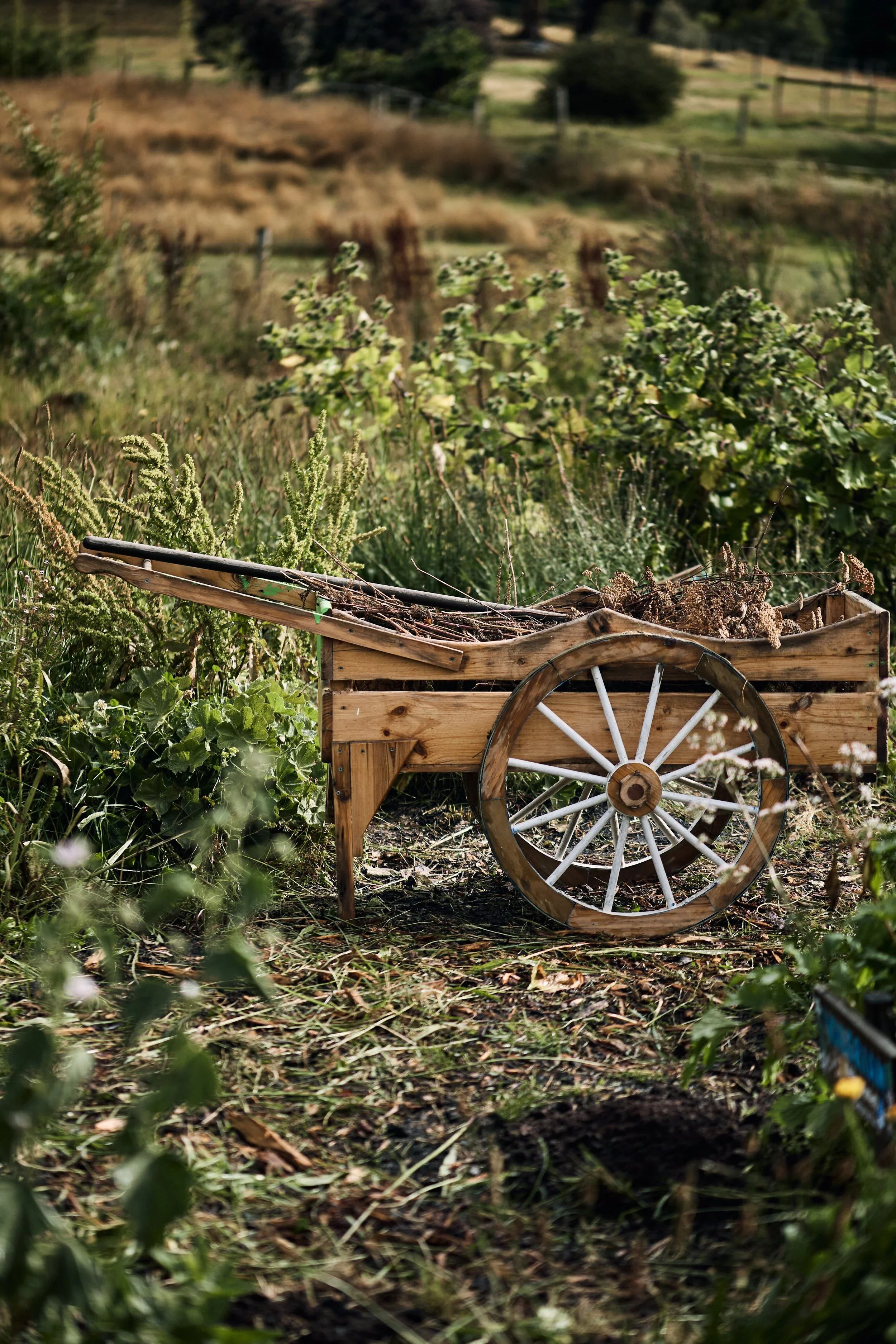 Magical_Farm_Feb_202539.jpg