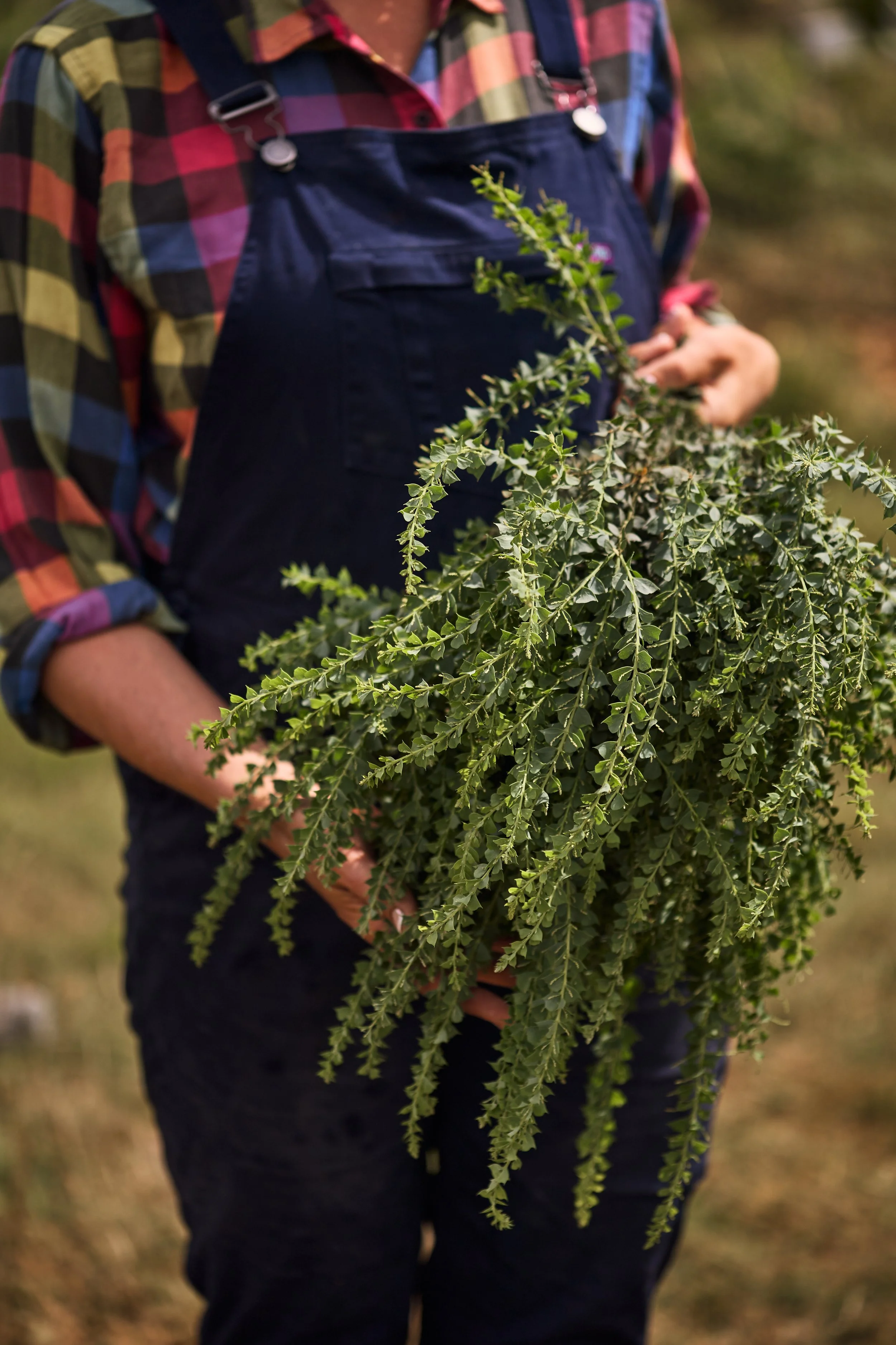 Magical_Farm_Feb_2025196.jpg