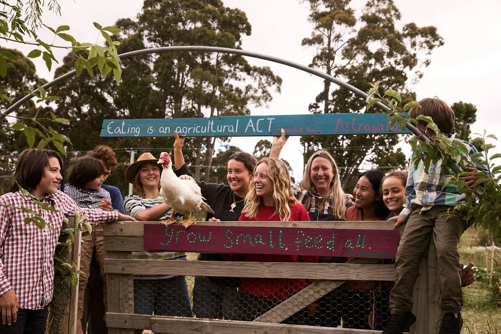 Local Duck Endorses 600 Million Dollar Food Policy. Treasury Still Considering the Data.