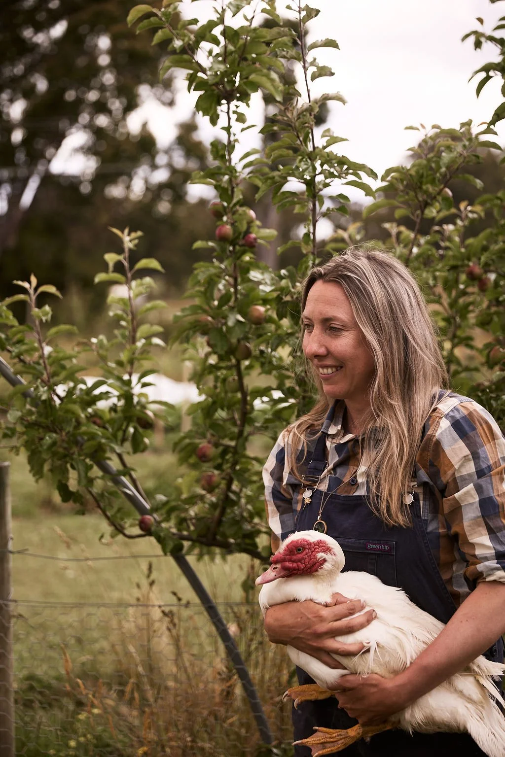 Scenario 2 for Salmon: Cut Through the Spectacle, Fund the Living Economy