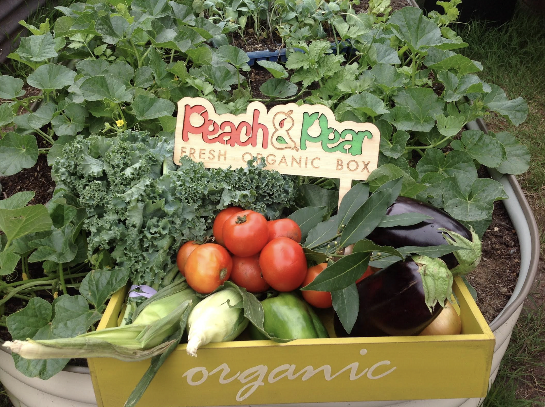 Peach n Pear Food Community
