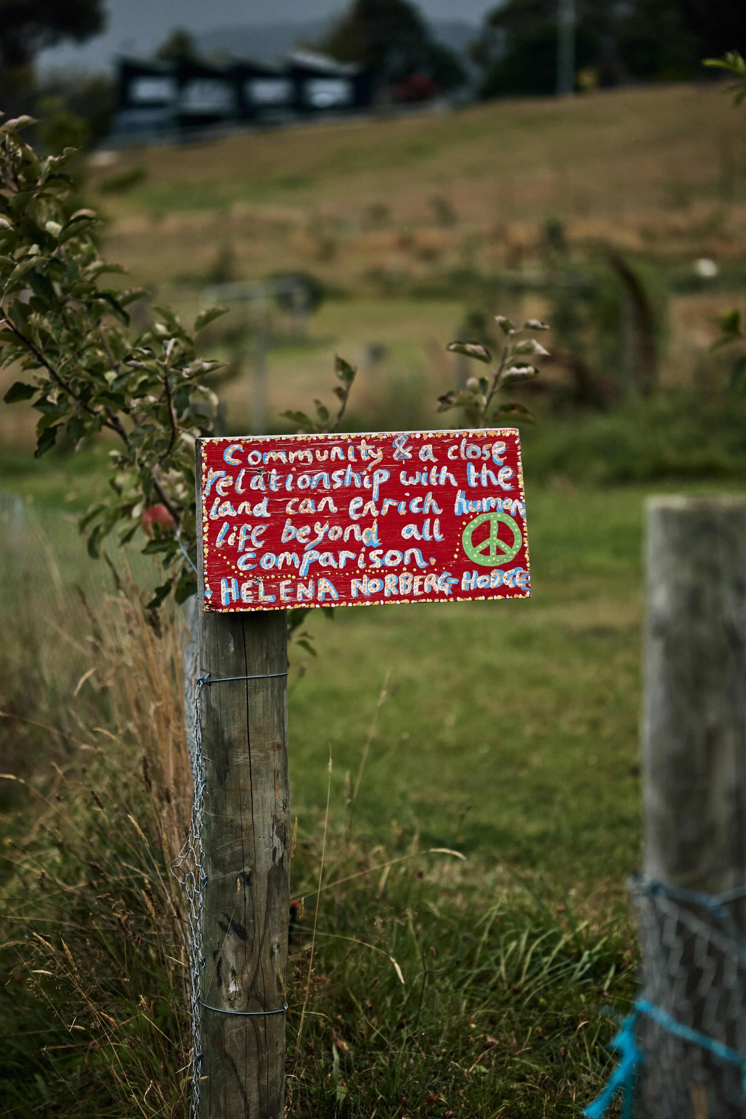 Magical_Farm_Feb_202537.jpg