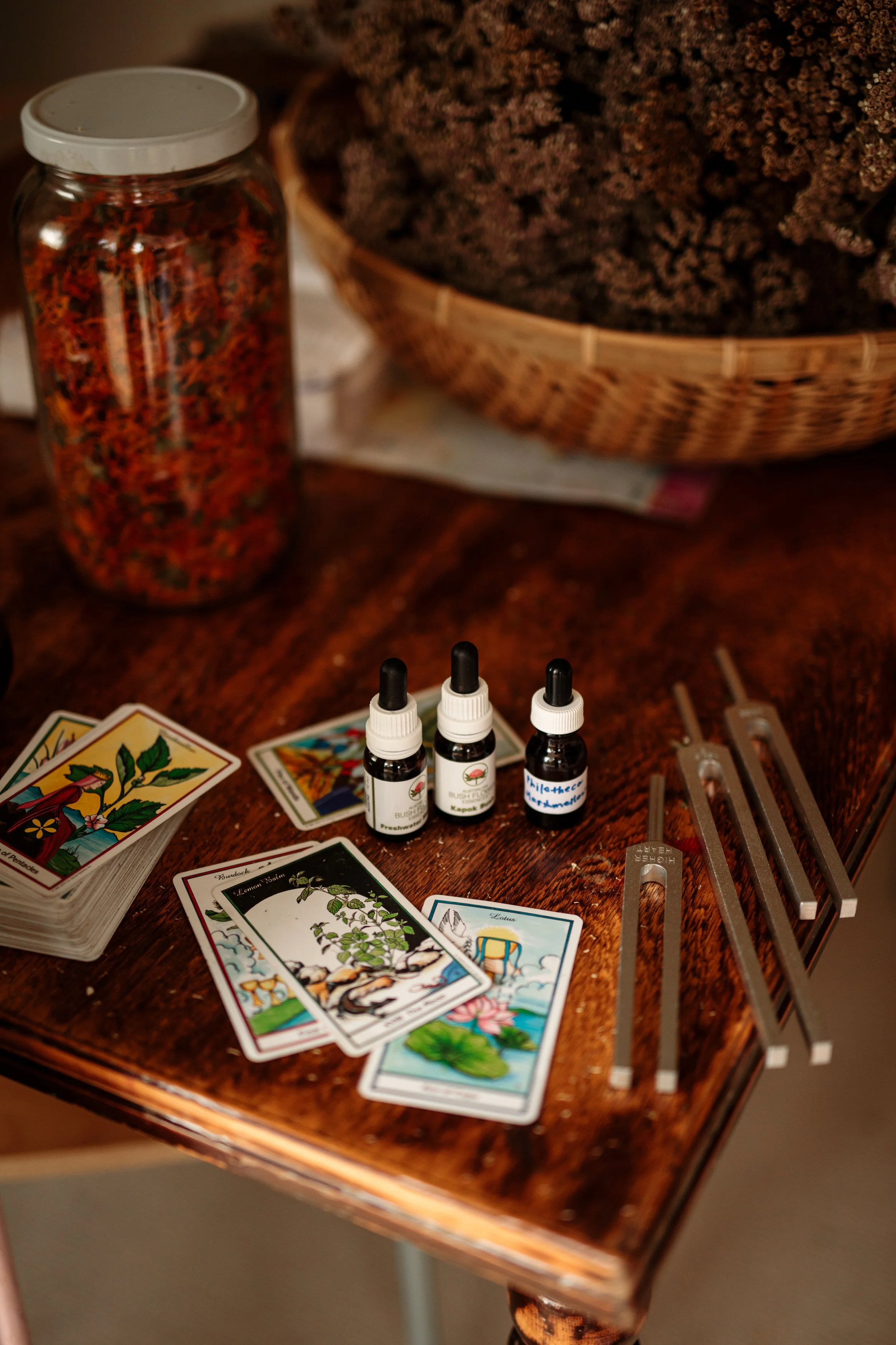 Magical_Farm_Feb_2024-159.jpg