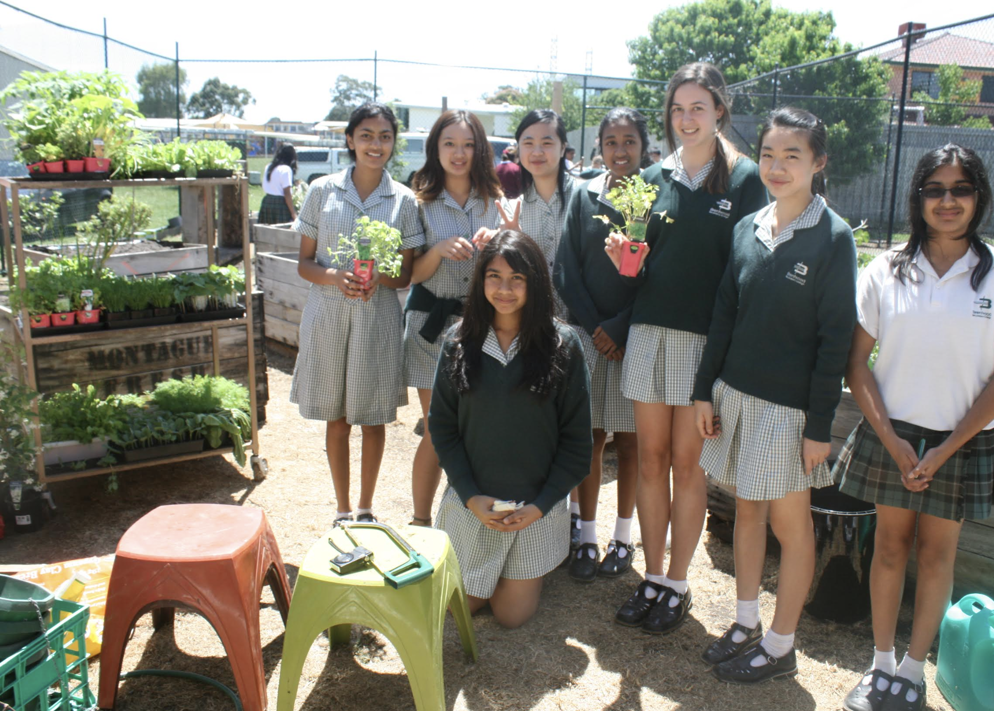 Brentwood Secondary College School Garden – Victoria, Australia (2010–2011)