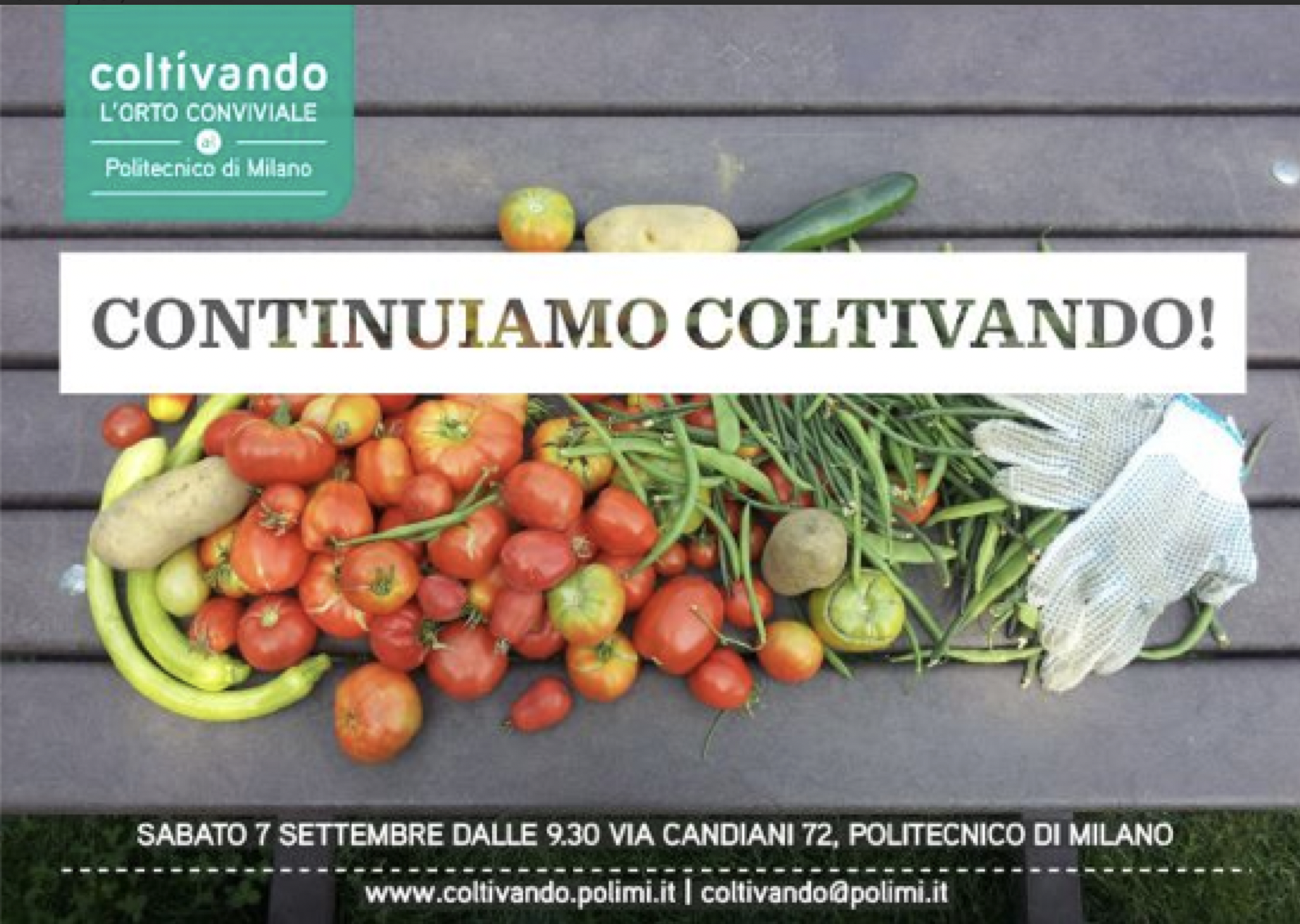 COLTIVANDO Convivial Garden, Milan, Italy 2012