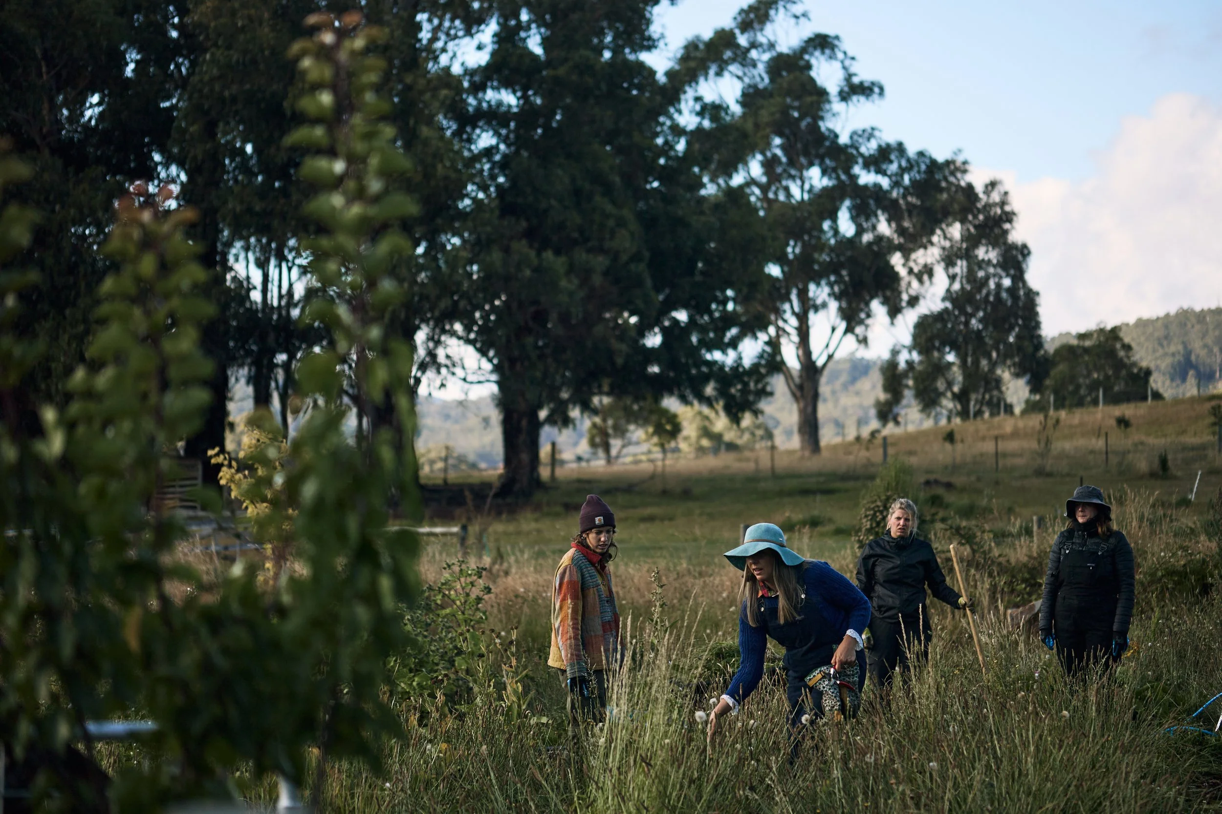 herb Farm at Magical Farm by Ness Vandeburgh Photography https://www.nessvphotography.com/