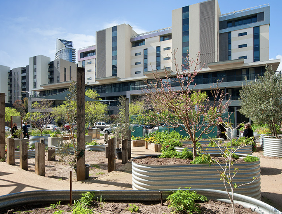 The new garden which was built where the head of planning said to Emily 'this is where a multi-million dollar apartment block was going'! It is still there today between Collins St and Burke St in the Docklands.