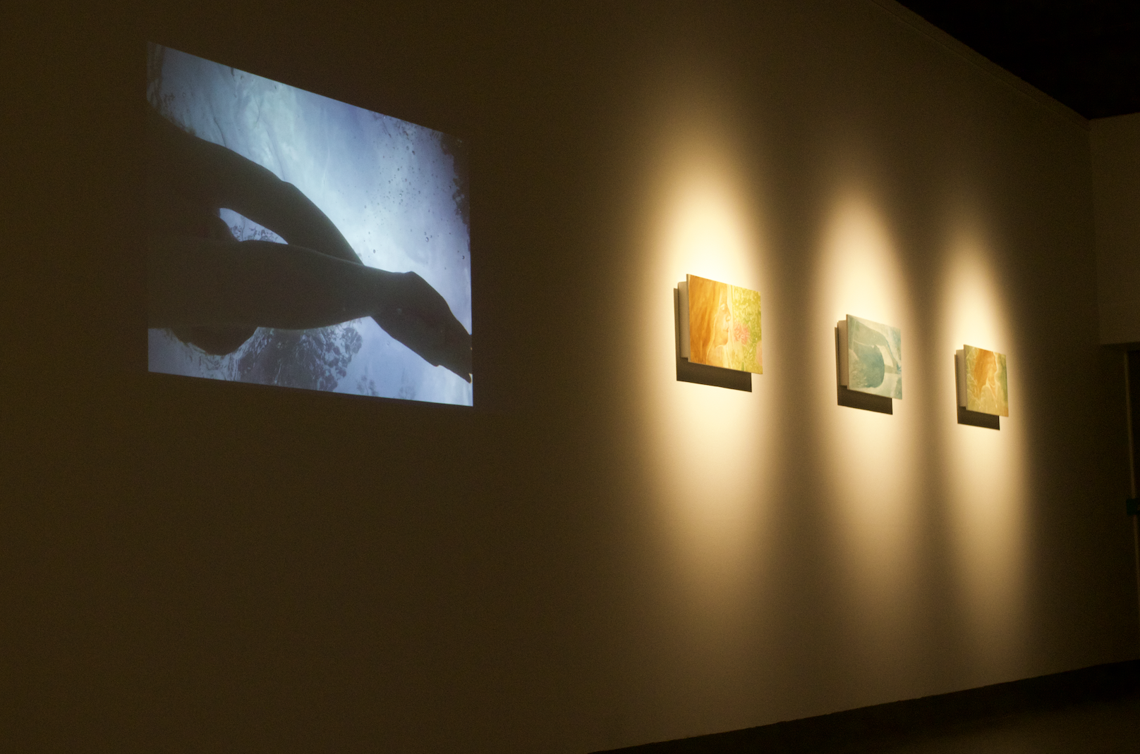 Screen Shot 2026-03-02 at 9.43.45 pm.png