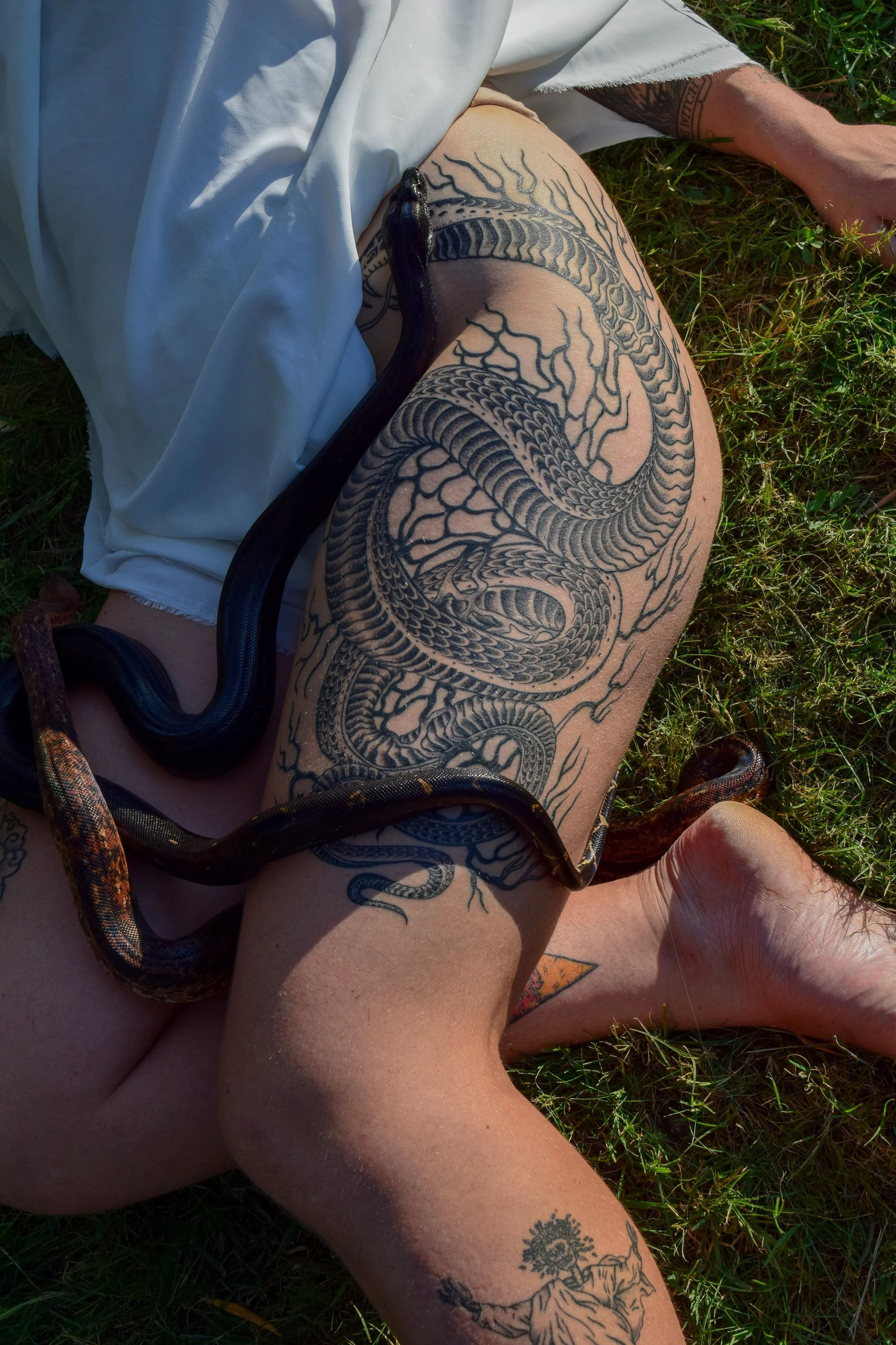 ecdisis-damian-vasquez-natalia-birnbach-camille-constant-snake-dreams-tattoo-tatuaje-barcelona-focustattooshop20220922_0090.jpg