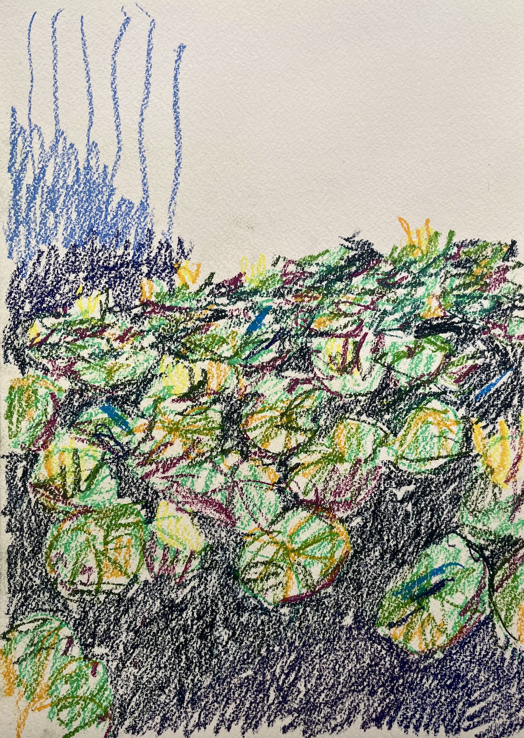 Screen Shot 2026-03-01 at 8.40.39 pm.png