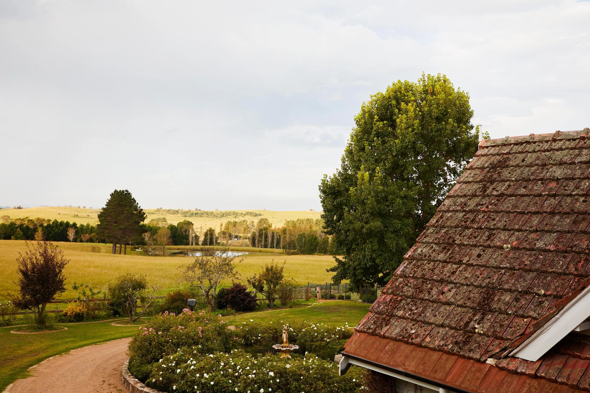 Estate garden design Sutton Forest - luxury landscape architecture ZF Architects