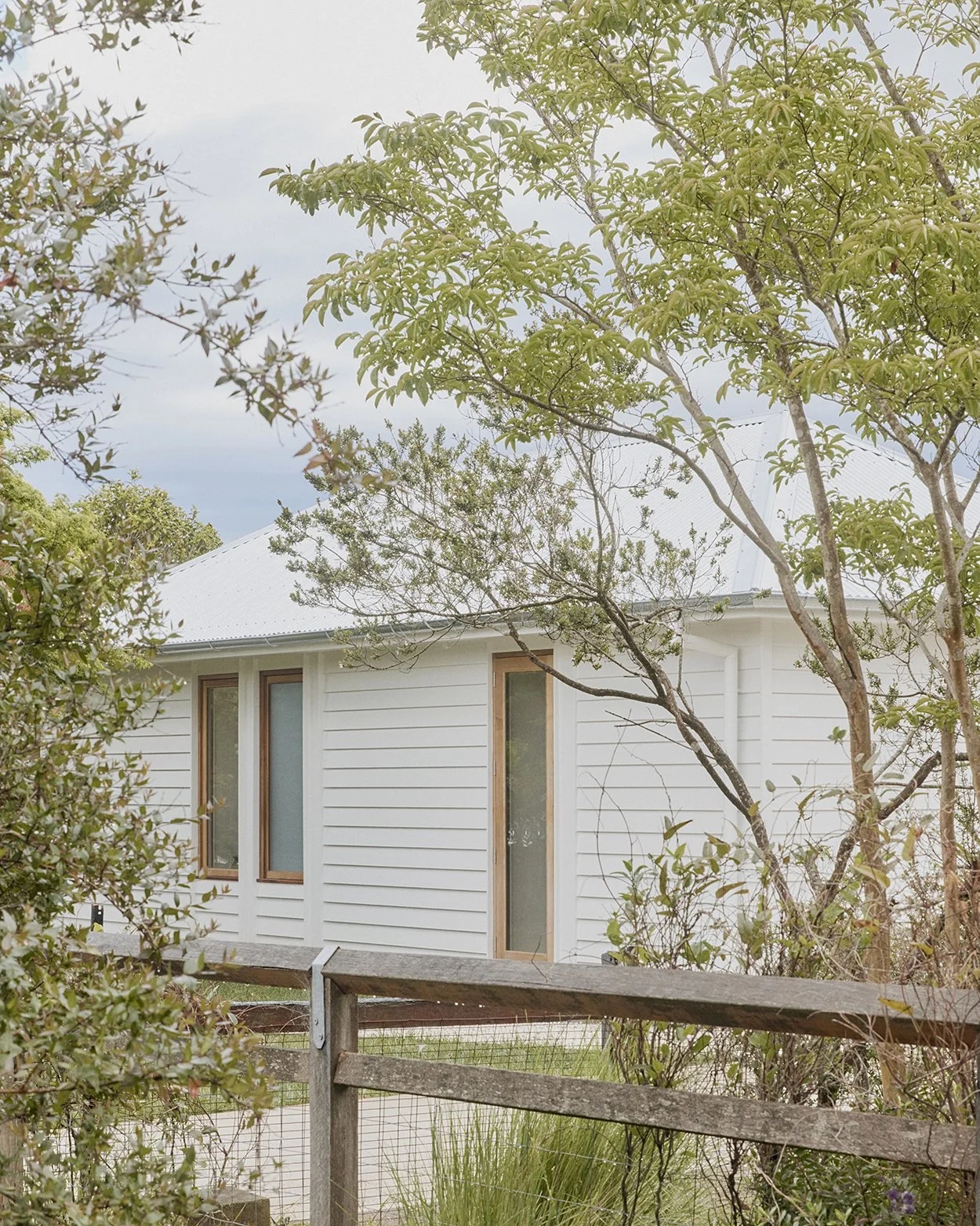 White weatherboard cottage glimpsed through established native trees, Mittagong Southern Highlands