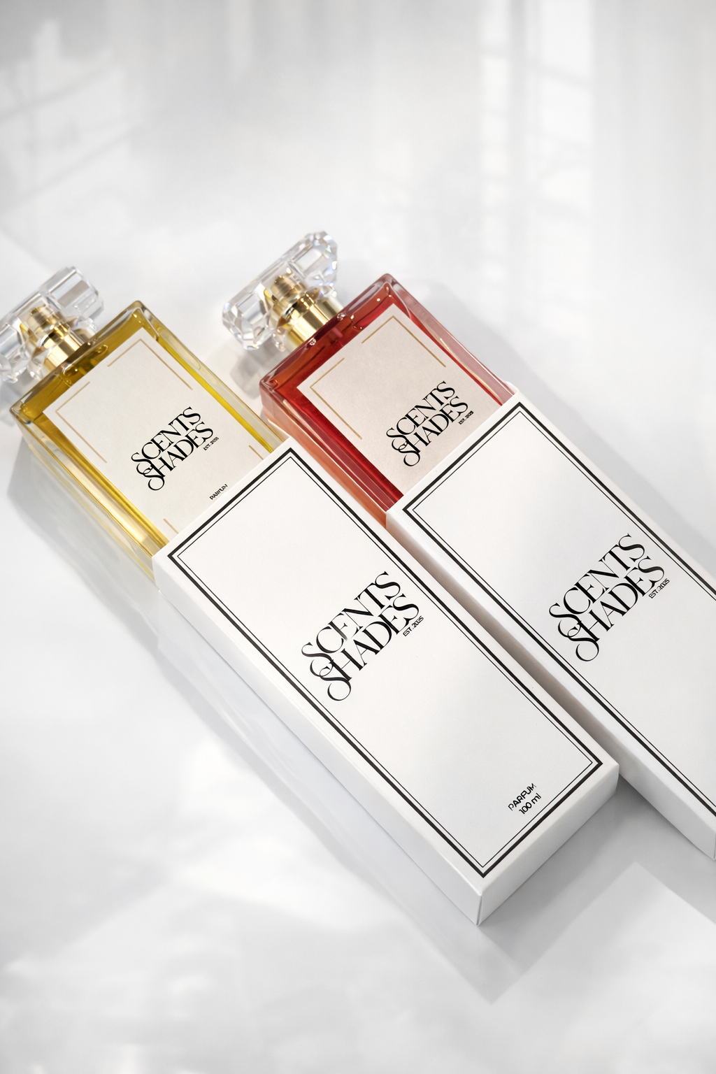 7B5C13FC-4C01-4B7A-9D49-5D683CACCA0E 2.PNG