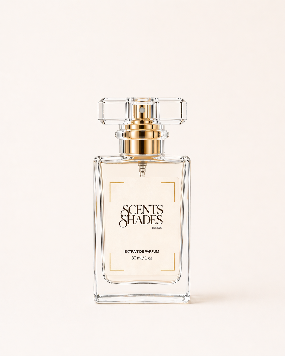 ChatGPT Image Apr 21, 2026, 10_46_37 AM.png