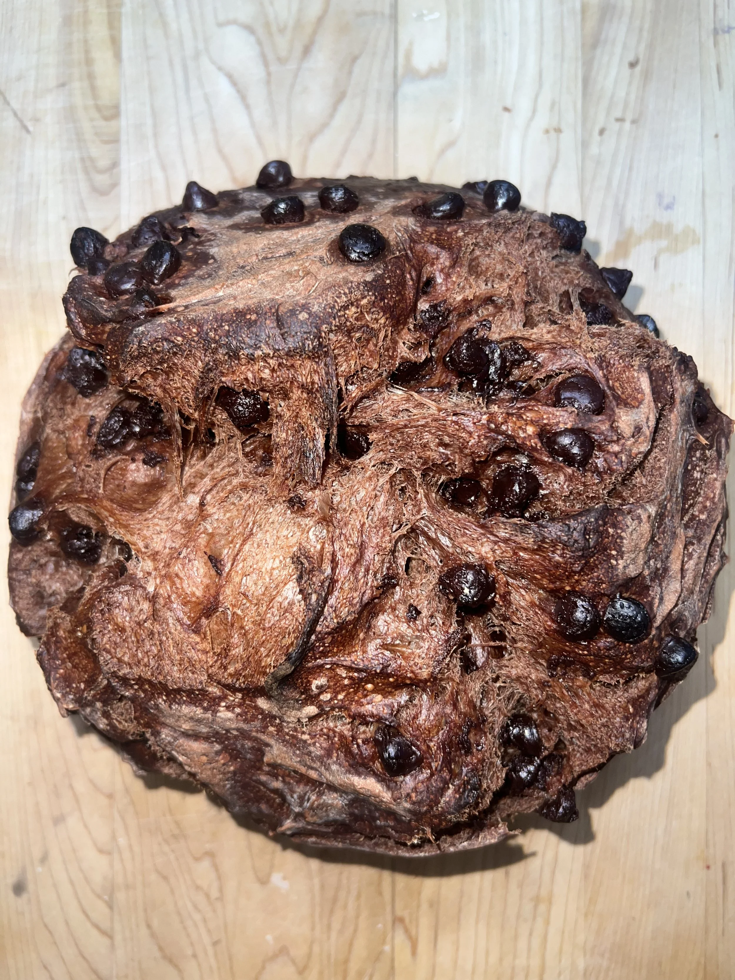 Double Chocolate Chip Sourdough Loaf
