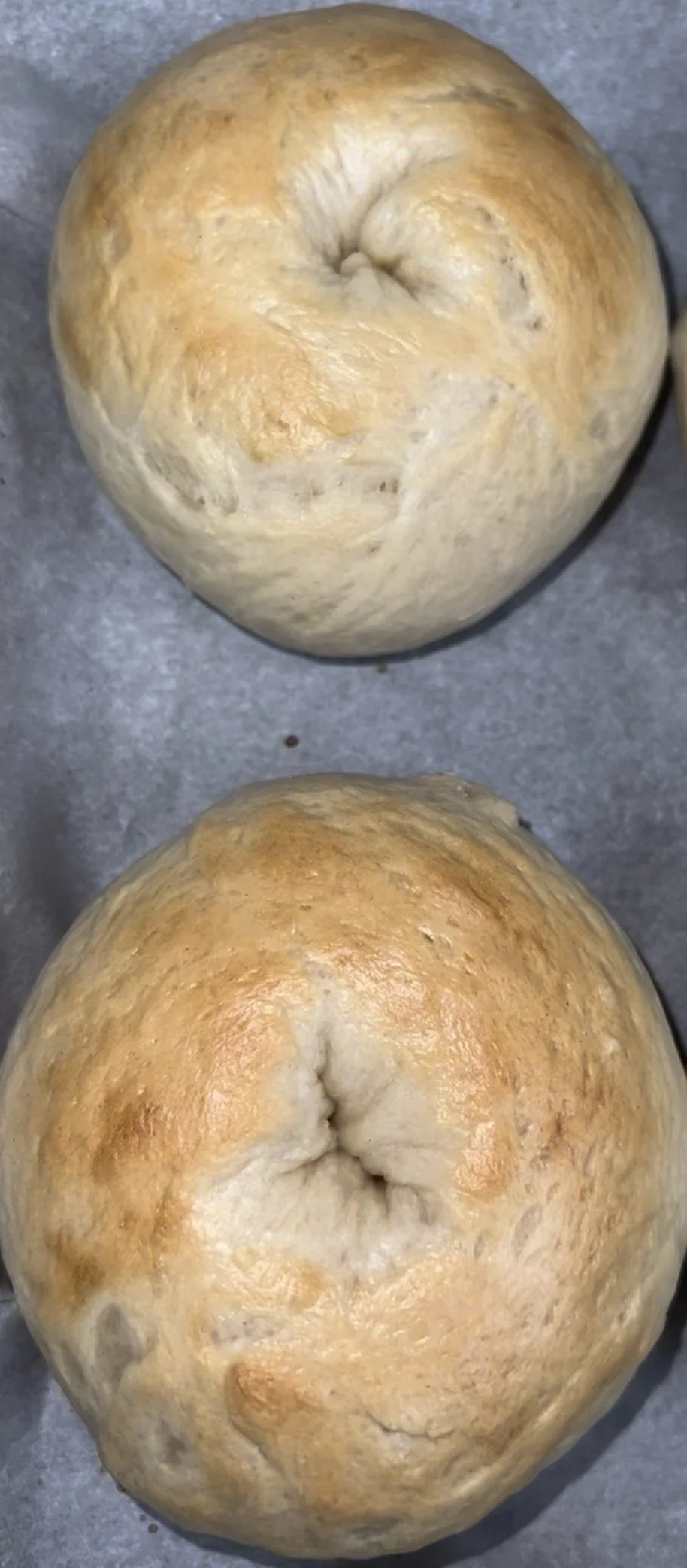 Classic Sourdough Bagel