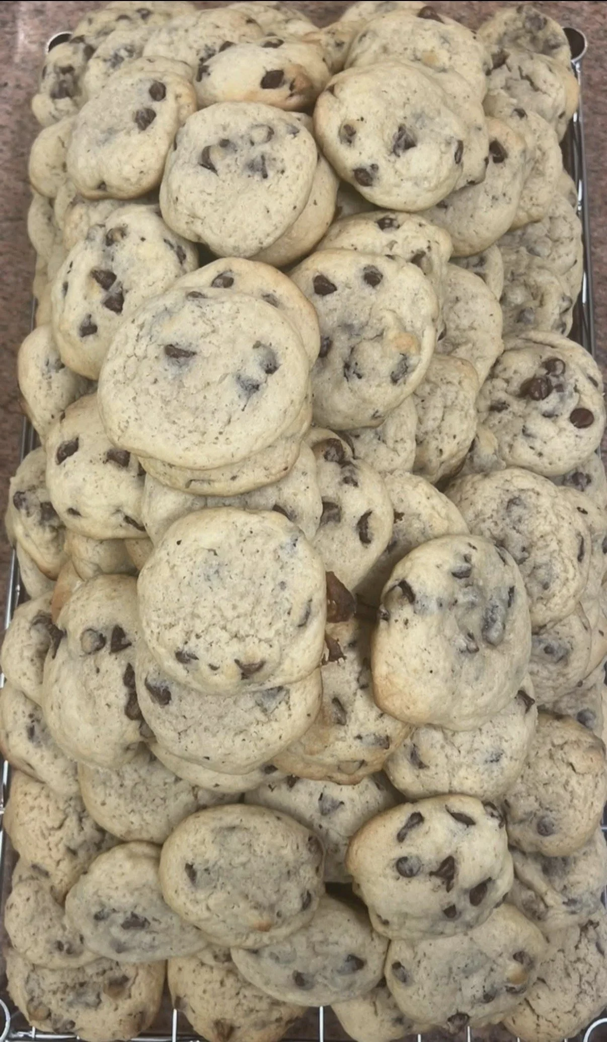 Half Dozen Sourdough Chocolate Chip Cookies