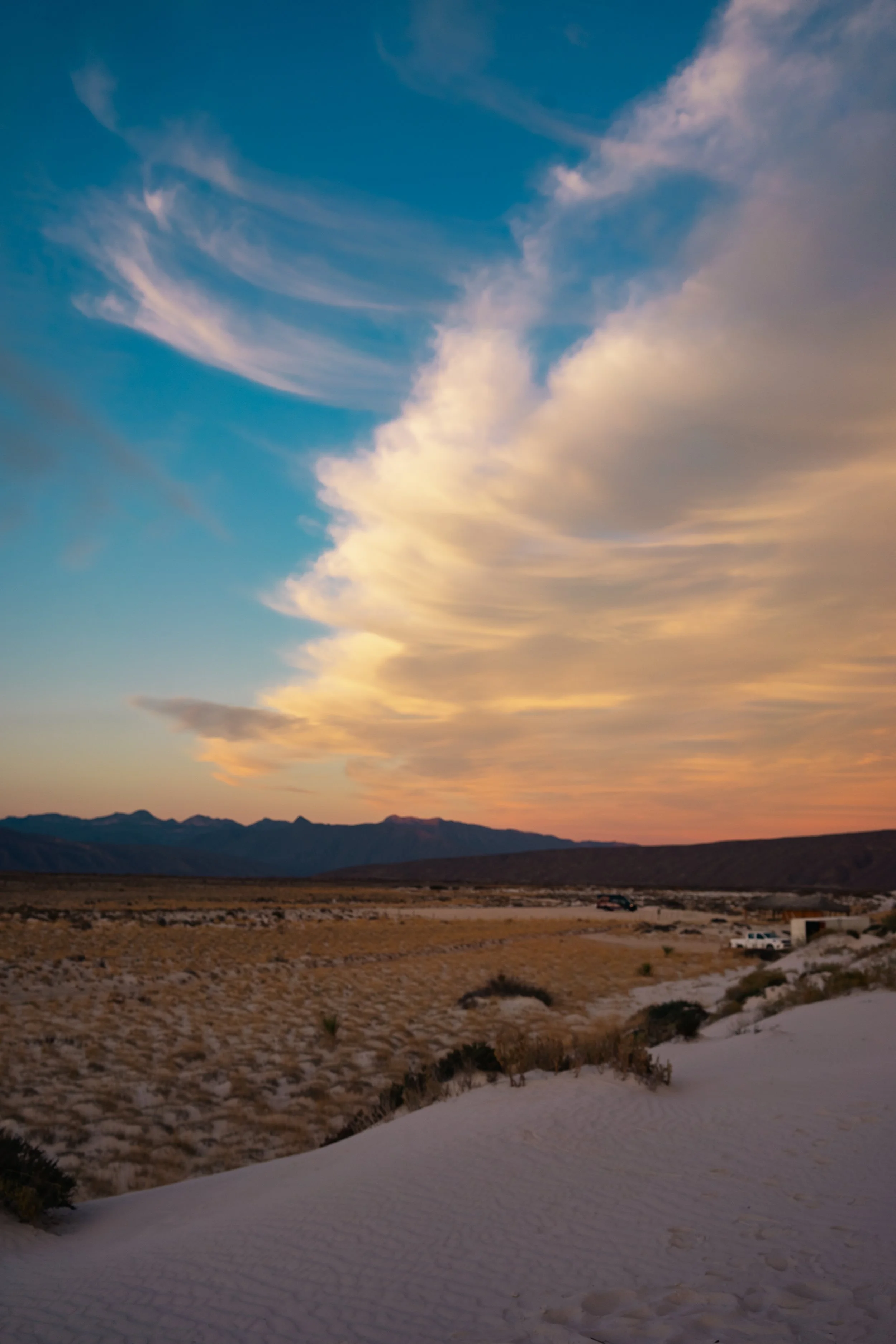 Copia de MGS06535.jpg