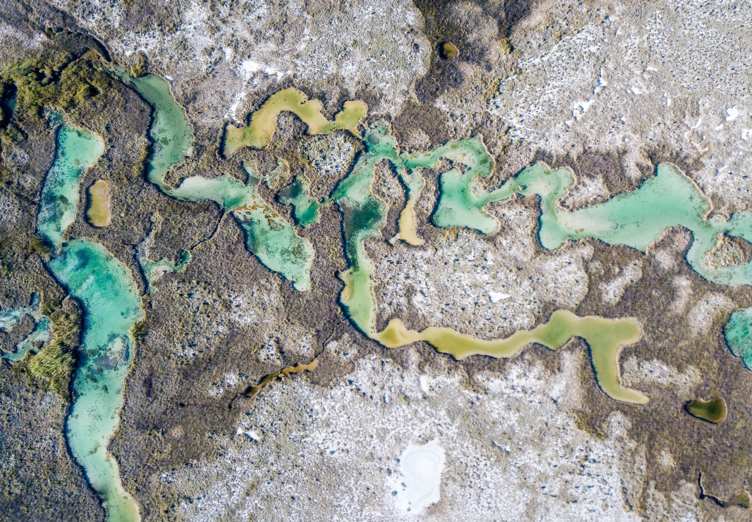 Restauración de Humedales