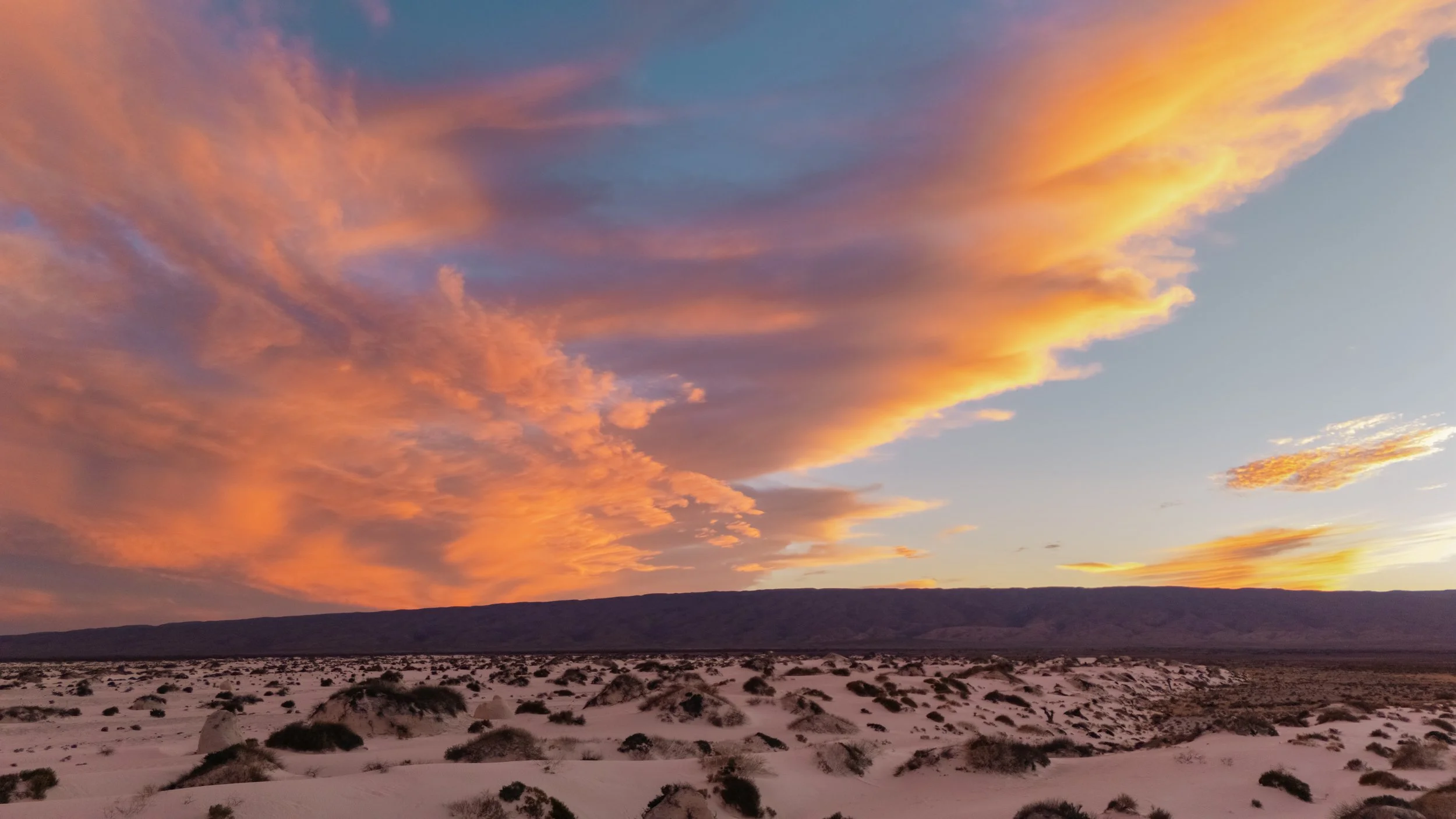 Copia de DJI_20240328035957_0067_D.jpg